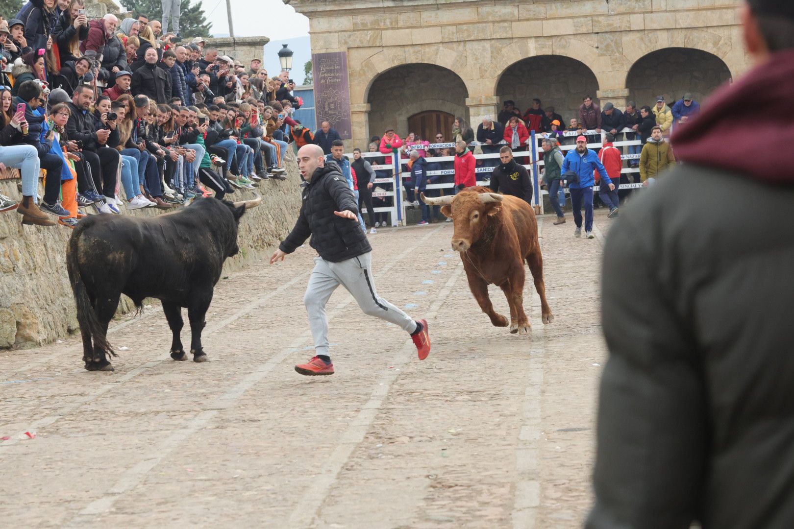 Fotos: Encierro rápido y limpio en Ciudad Rodrigo