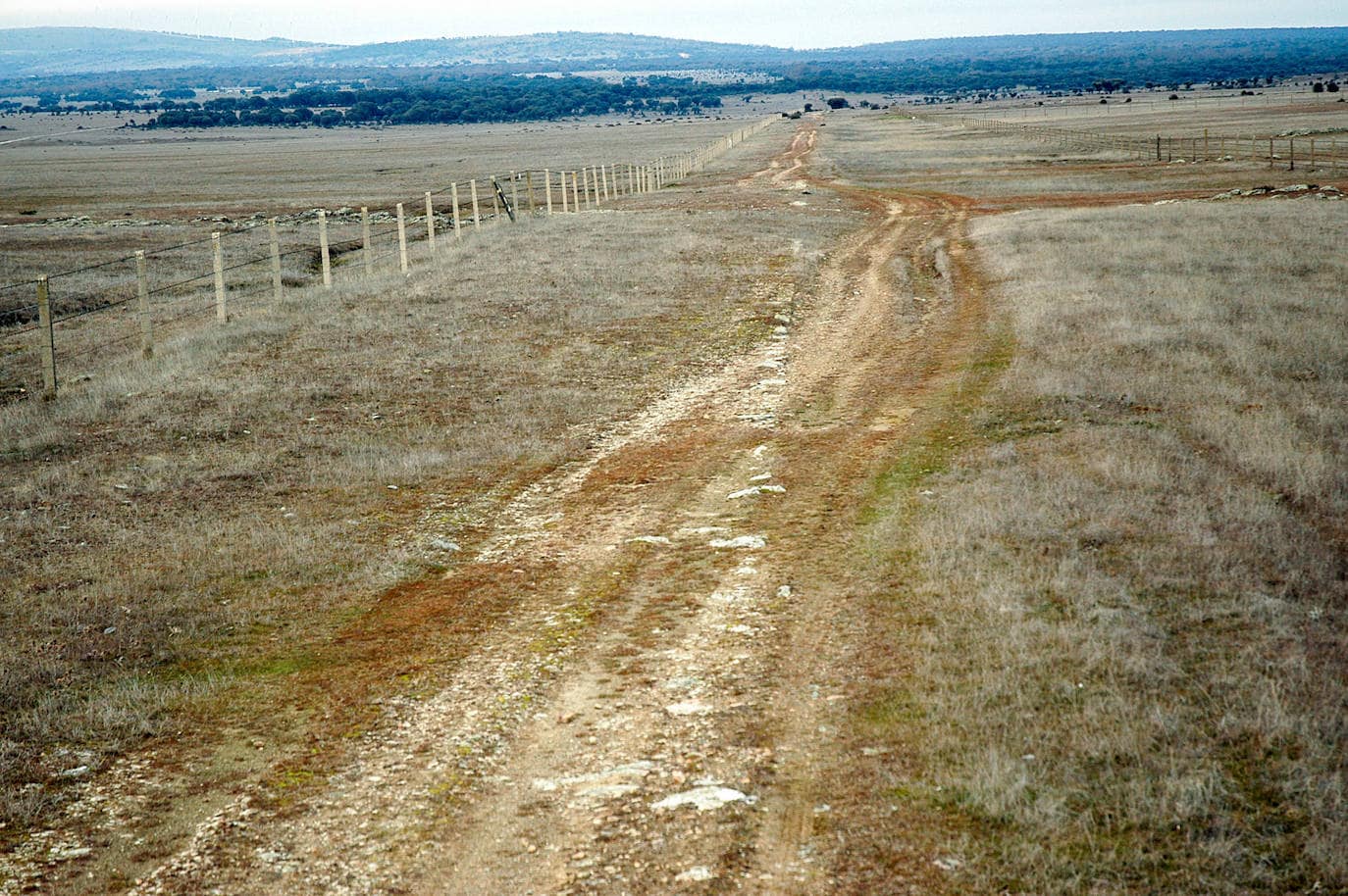 Bordillo de la vía romana perfectamente alineado, en el término municipal de Guijuelo, que ha quedado a la vista por la erosión. 