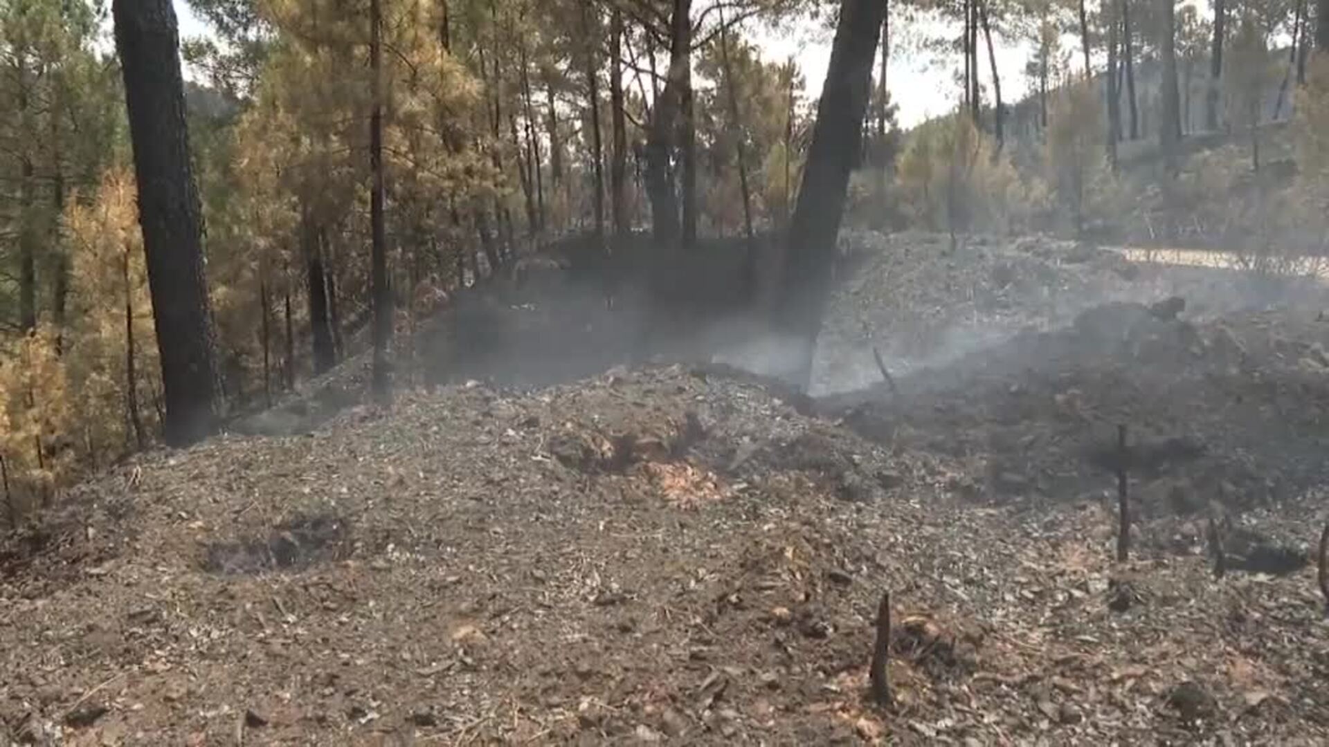El negro paisaje que ocupa las doce mil hectáreas arrasadas por el fuego en Cáceres
