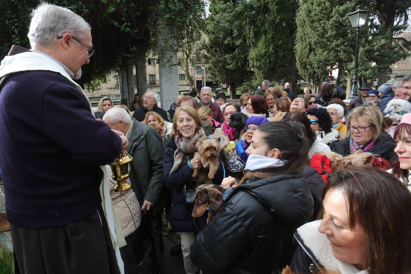 Las mascotas de Salamanca reciben la bendición de San Antón