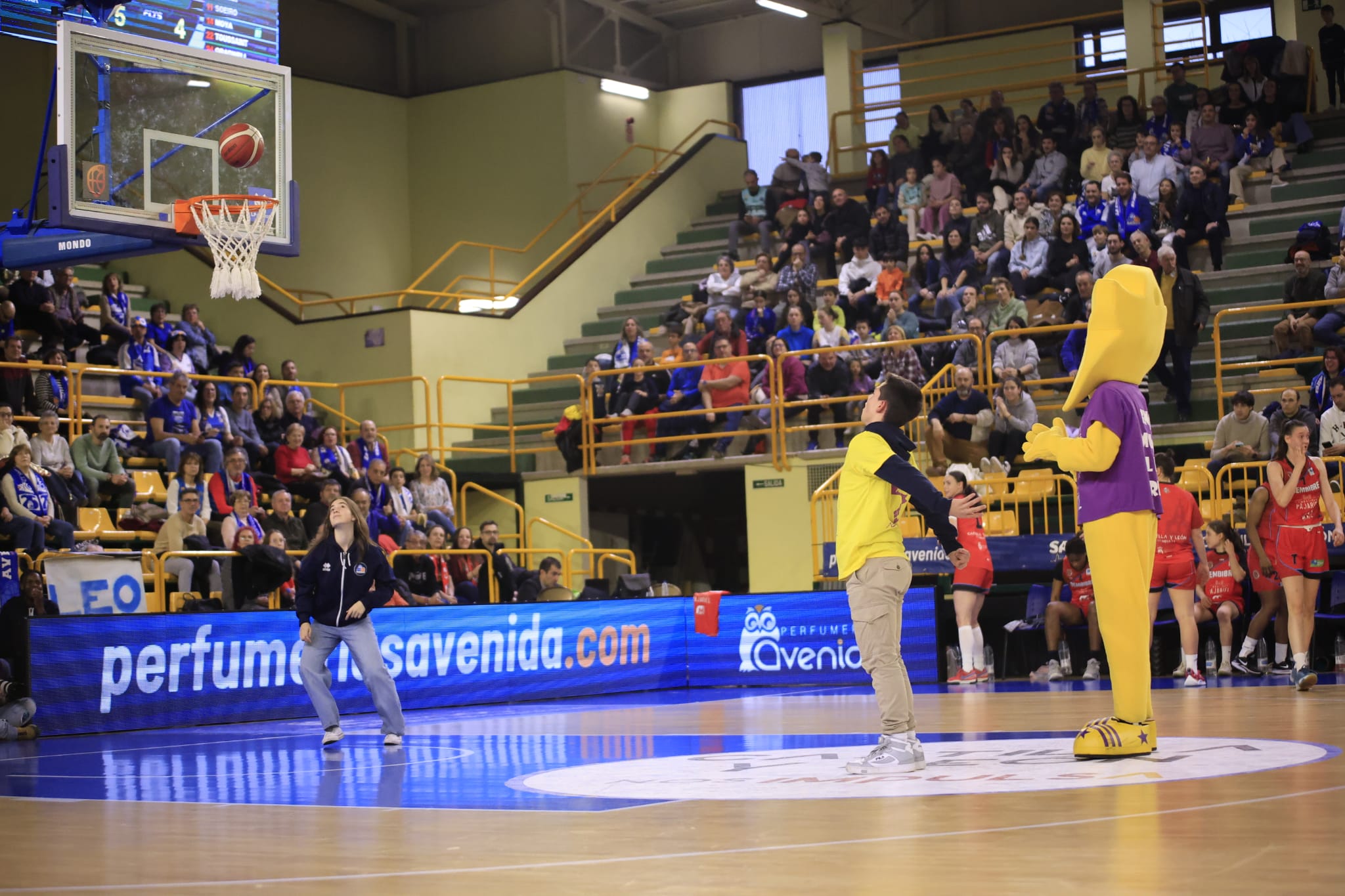 Victoria de Avenida ante el Bembibre