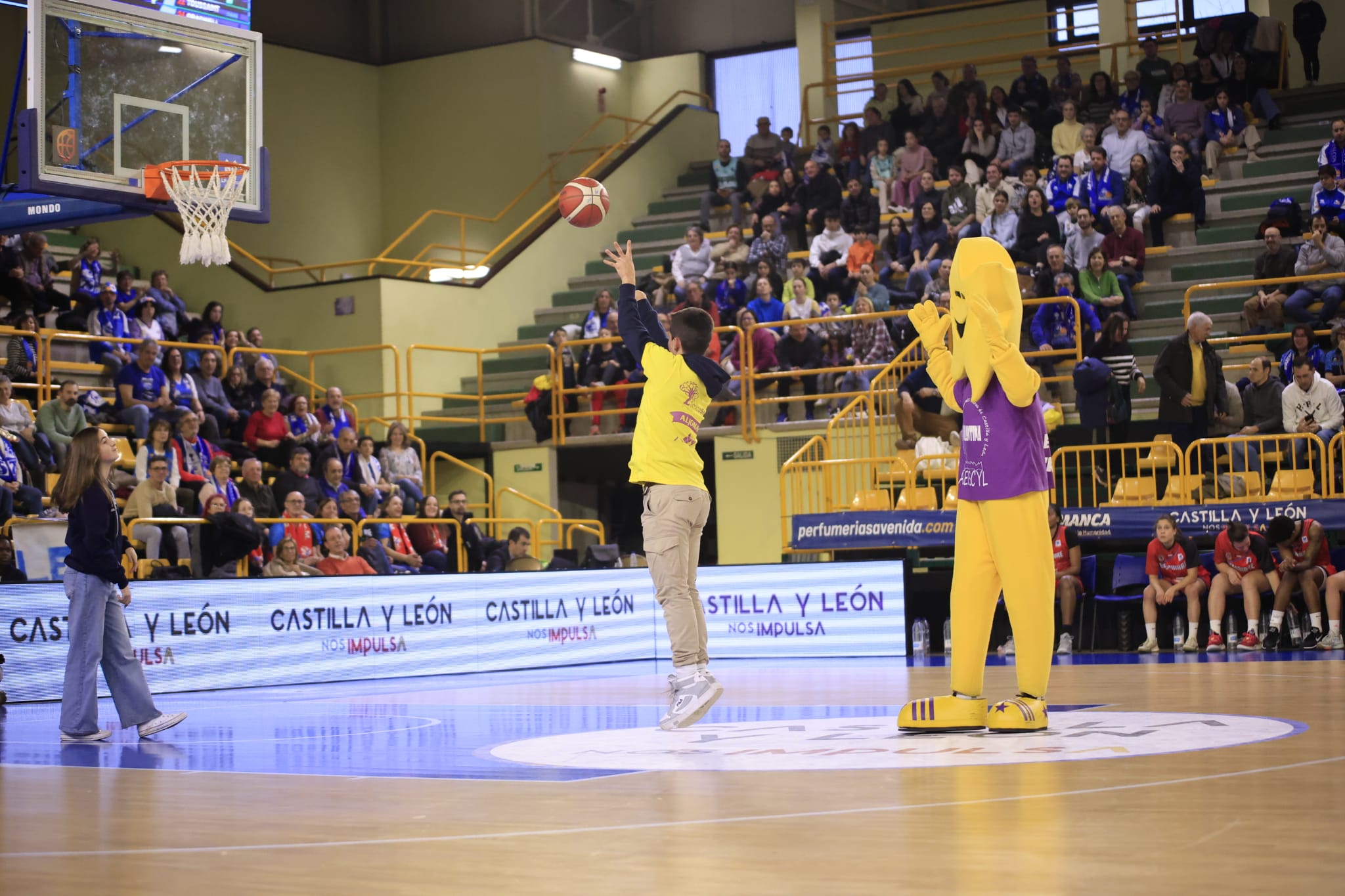 Victoria de Avenida ante el Bembibre