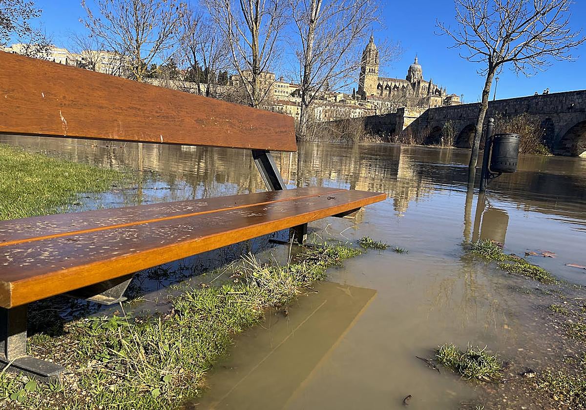 Un banco de la ribera del Tormes rodeado de agua del río.