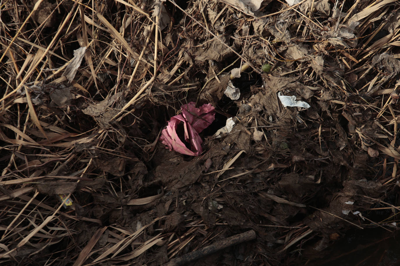 La basura emerge del Tormes después de la borrasca
