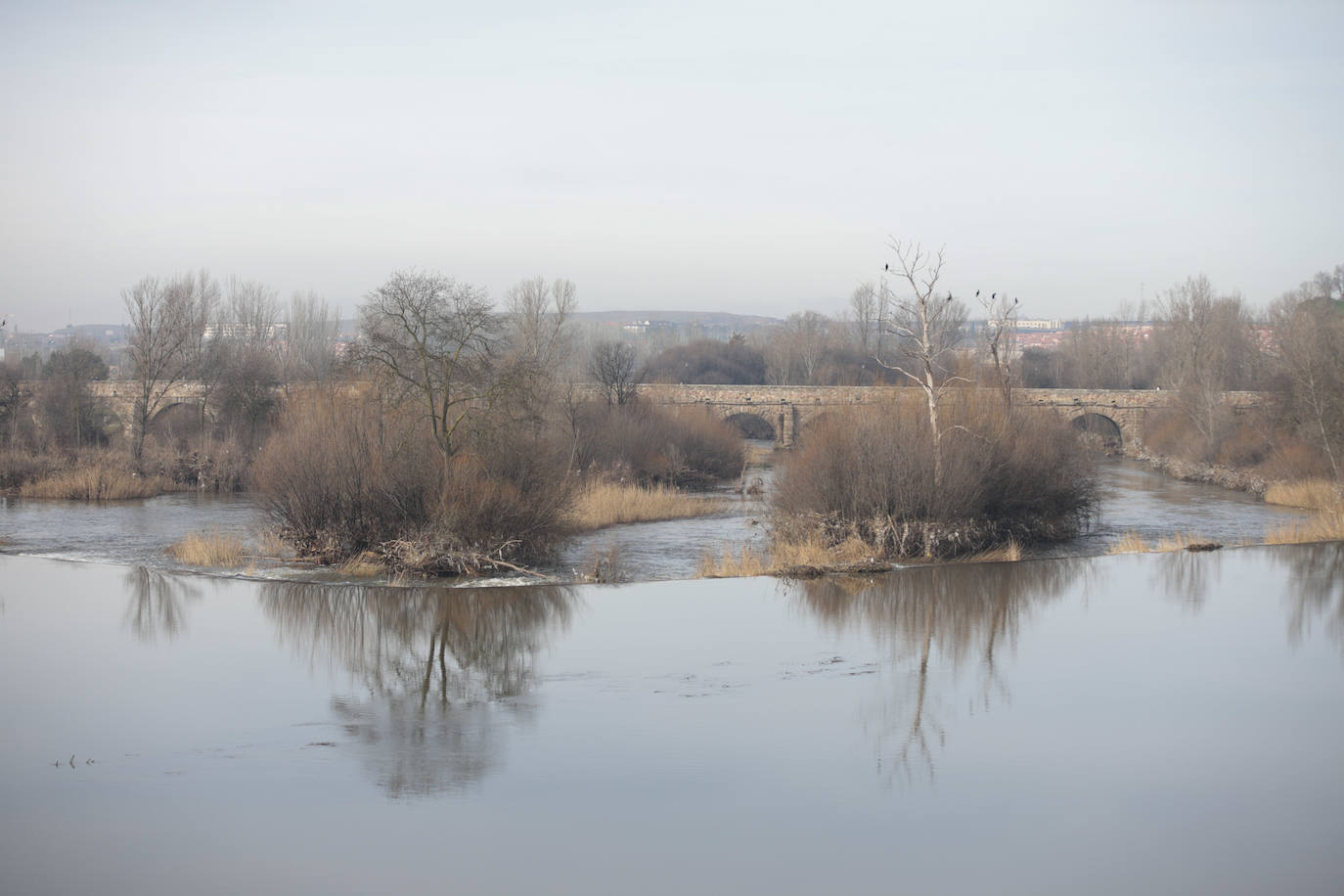 La basura emerge del Tormes después de la borrasca