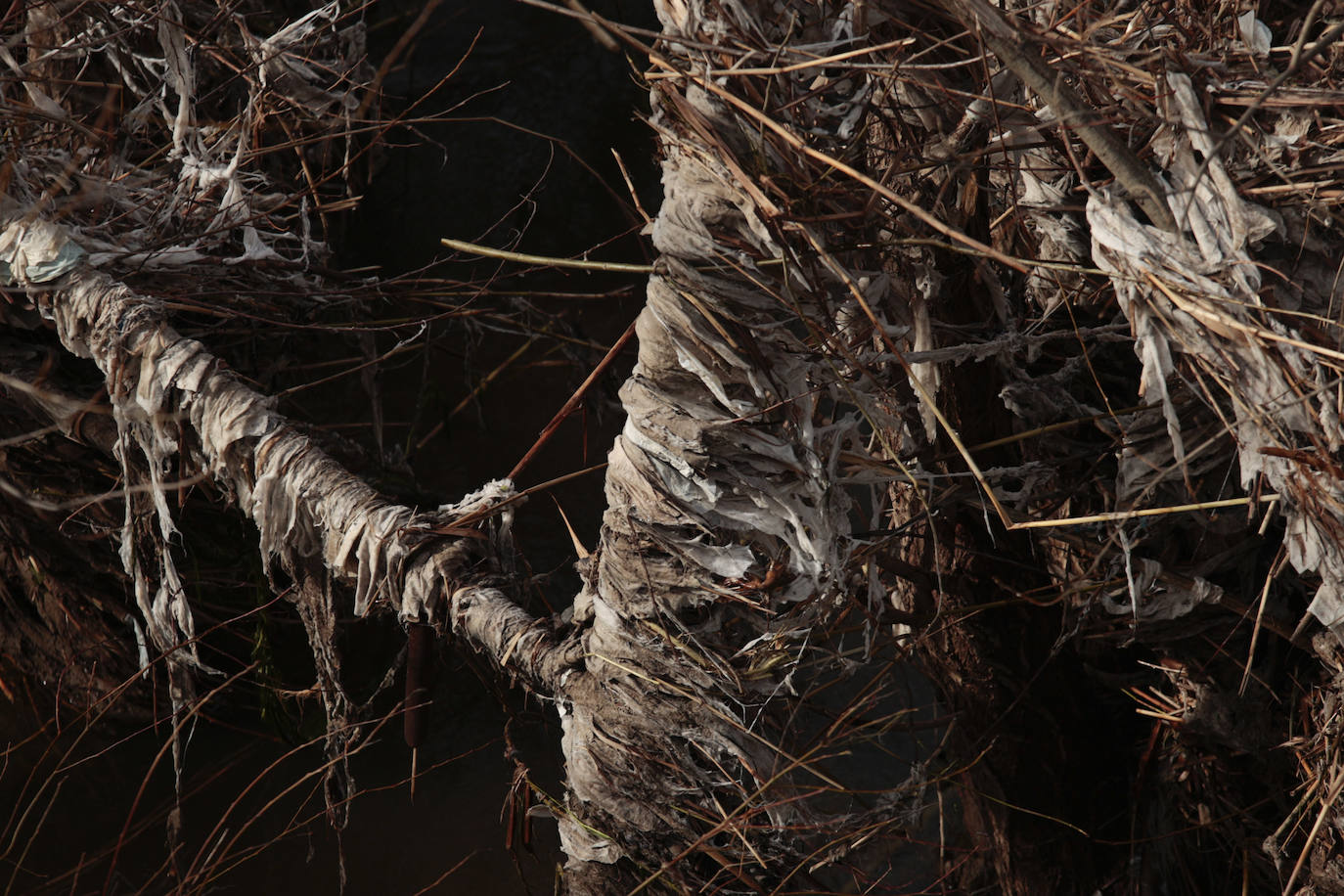 La basura emerge del Tormes después de la borrasca