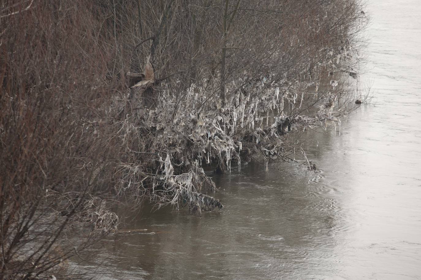 La basura emerge del Tormes después de la borrasca