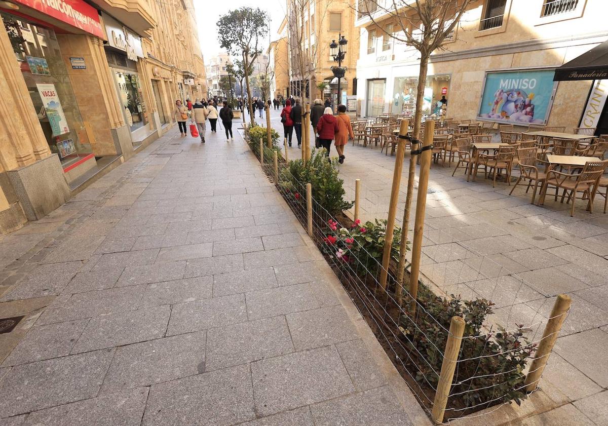 Imagen principal - La falta de civismo obliga a proteger con cercados los parterres de la calle Zamora