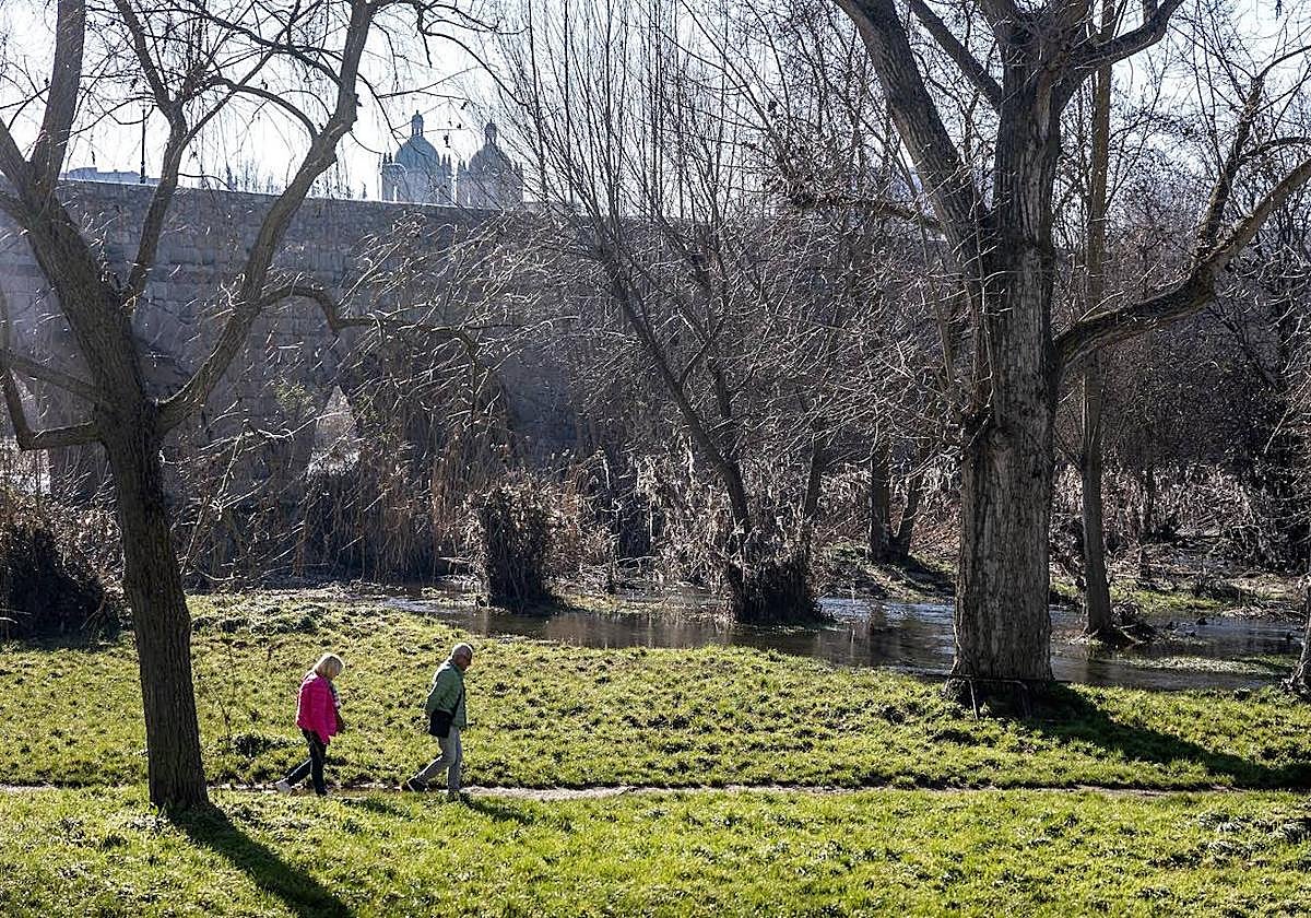 Estado de las riberas del Tormes en Salamanca.