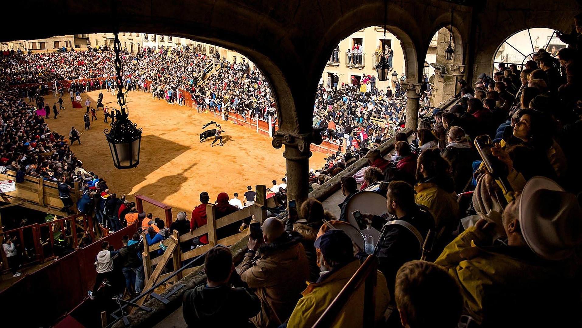 Programa completo del Carnaval del Toro de Ciudad Rodrigo 2024 ...