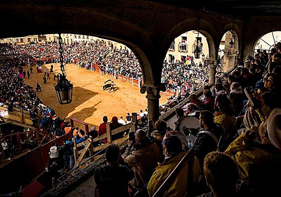 Lleno en la plaza de toros de Ciudad Rodrigo en el Carnaval del Toro.