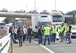 Los turistas chinos por el arcén de la autovía ante la atenta mirada de los agricultores.