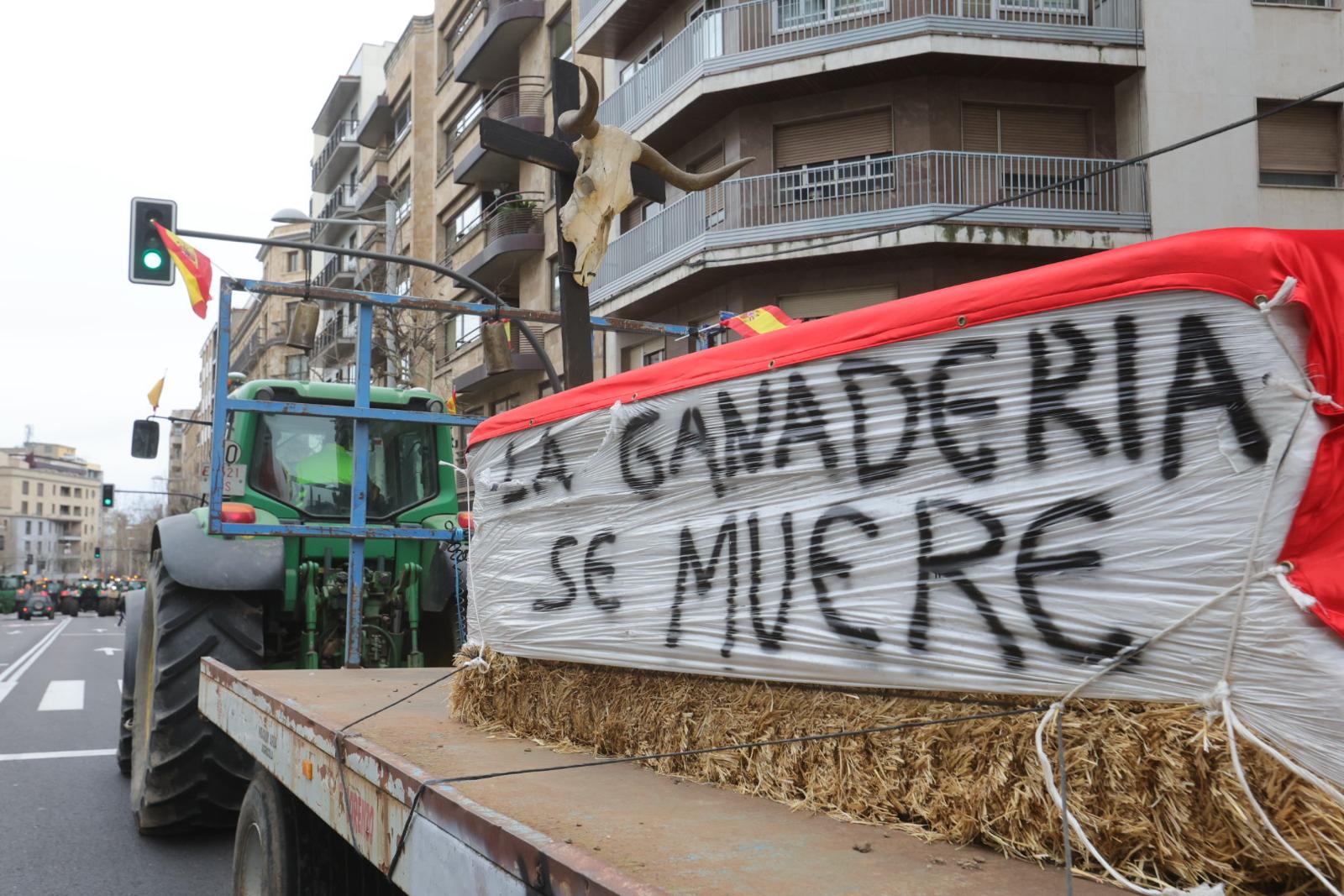 Las pancartas más destacadas de la tractorada en Salamanca