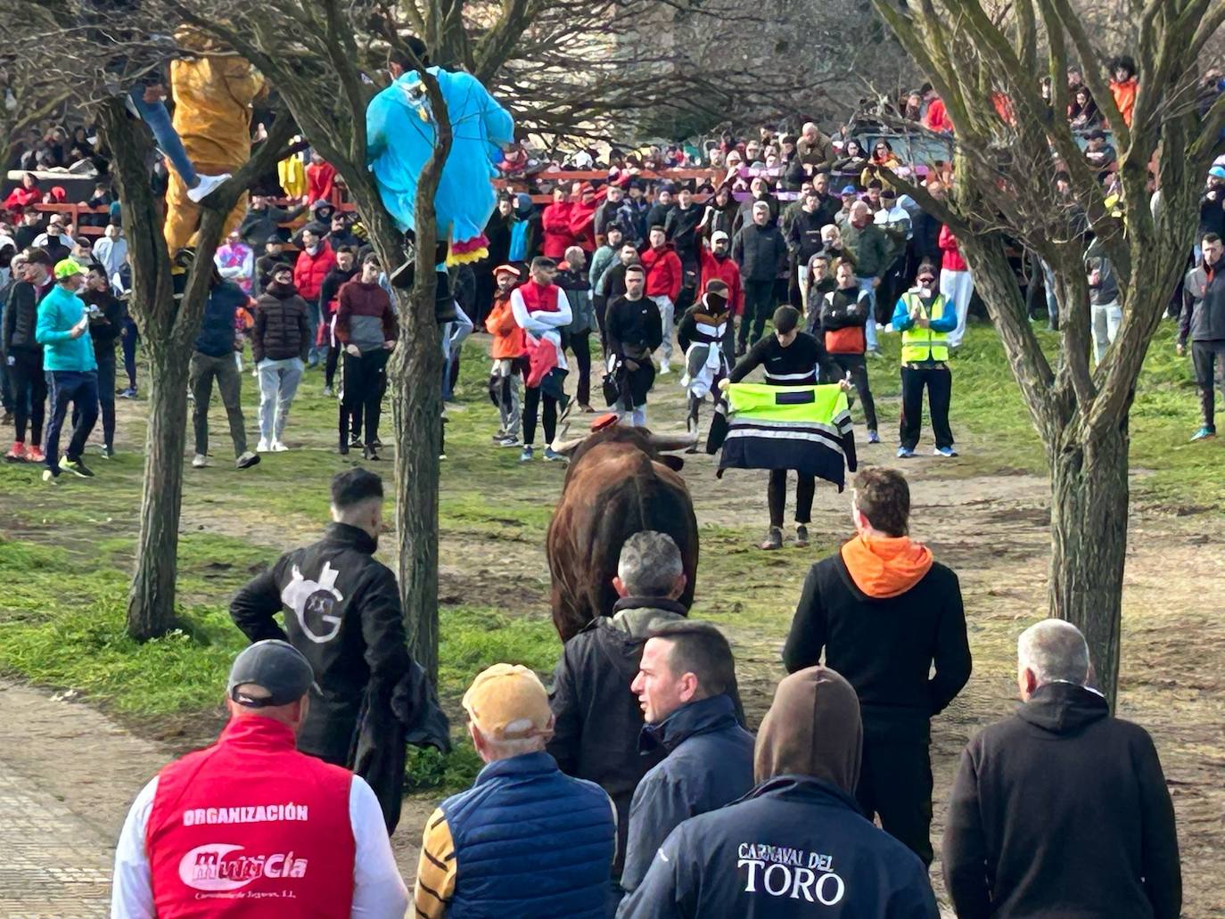 El Toro del Antruejo en imágenes