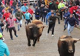 Al quirófano tras ser corneado en el glúteo en el primer encierro de Ciudad Rodrigo