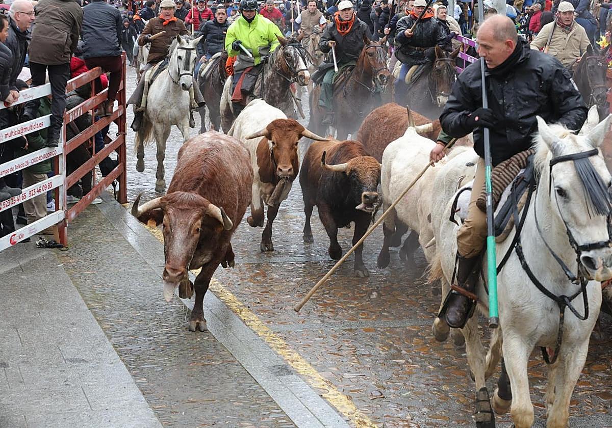 El encierro del domingo y el ambiente en Ciudad Rodrigo, en imágenes