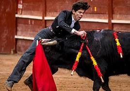 El novillero, durante su faena.