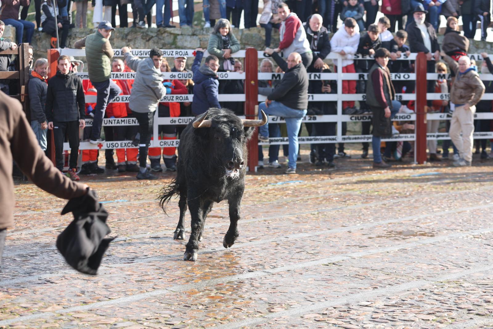 Todas las imágenes del encierro del lunes por la mañana
