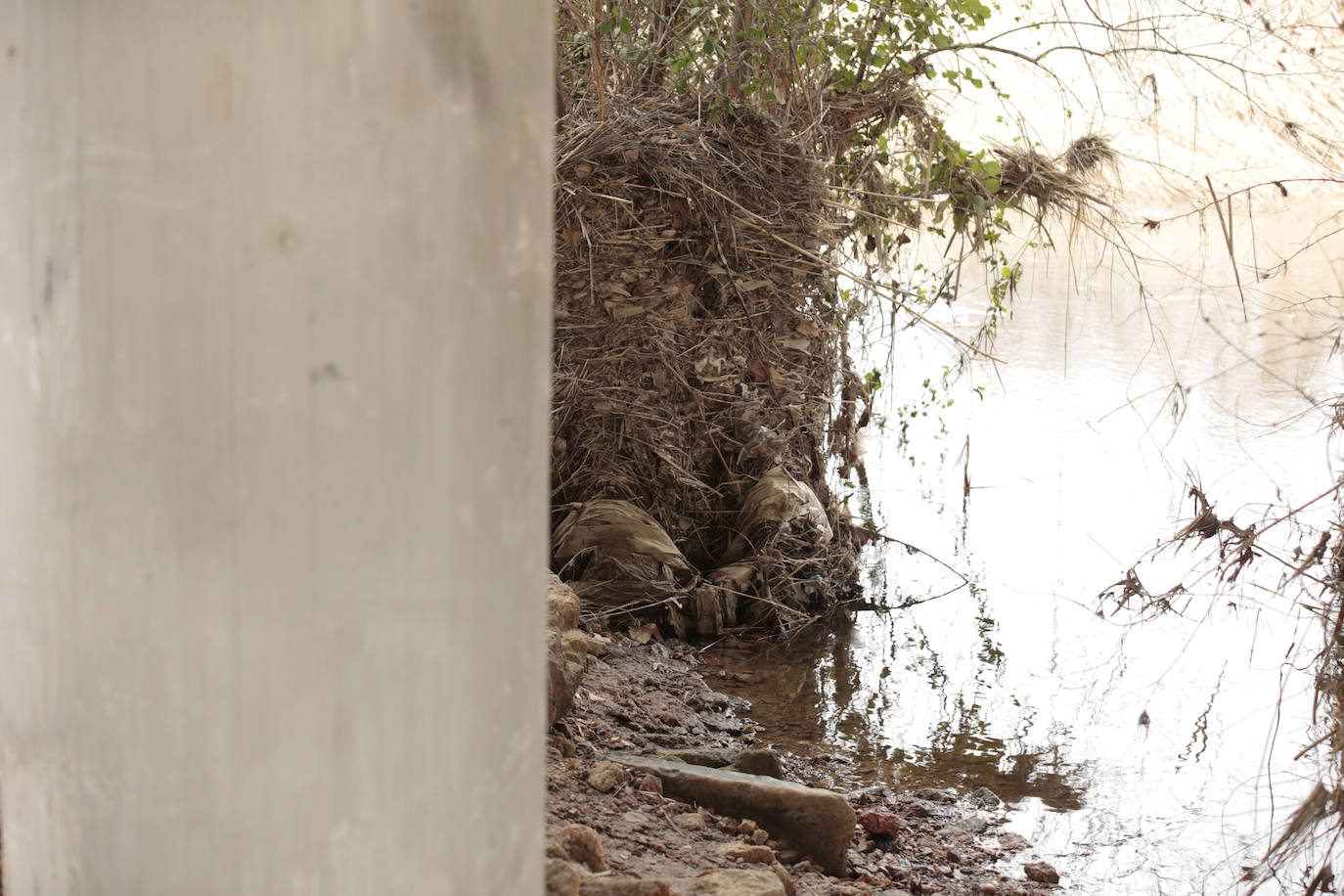 La crecida del río llena de &#039;basuraleza&#039; la ribera del Tormes