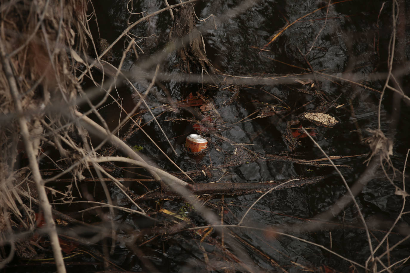 La crecida del río llena de &#039;basuraleza&#039; la ribera del Tormes