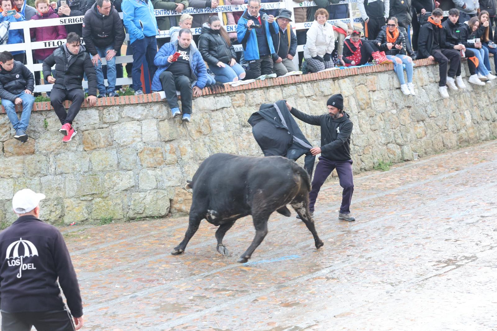 El Martes de Carnaval arranca en Ciudad Rodrigo con un divertido Toro del Aguardiente