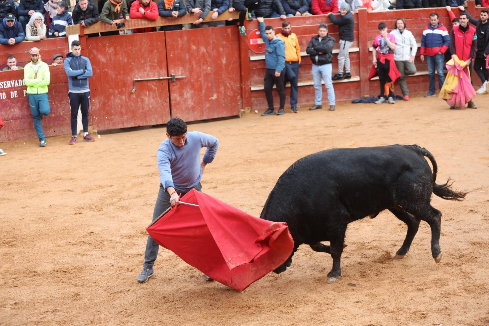 El Martes de Carnaval arranca en Ciudad Rodrigo con un divertido Toro del Aguardiente