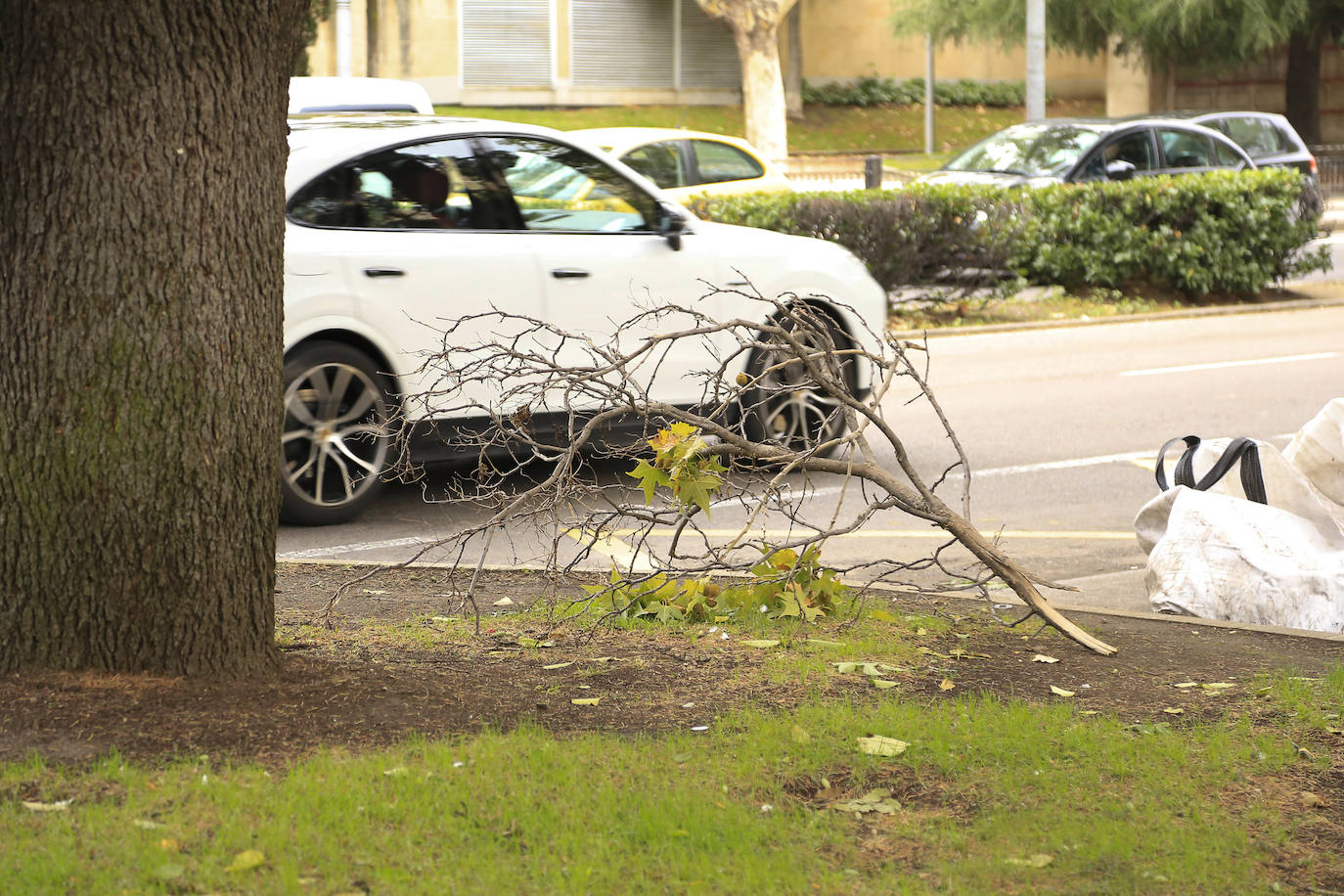 Los efectos de los temporales en Salamanca, en imágenes