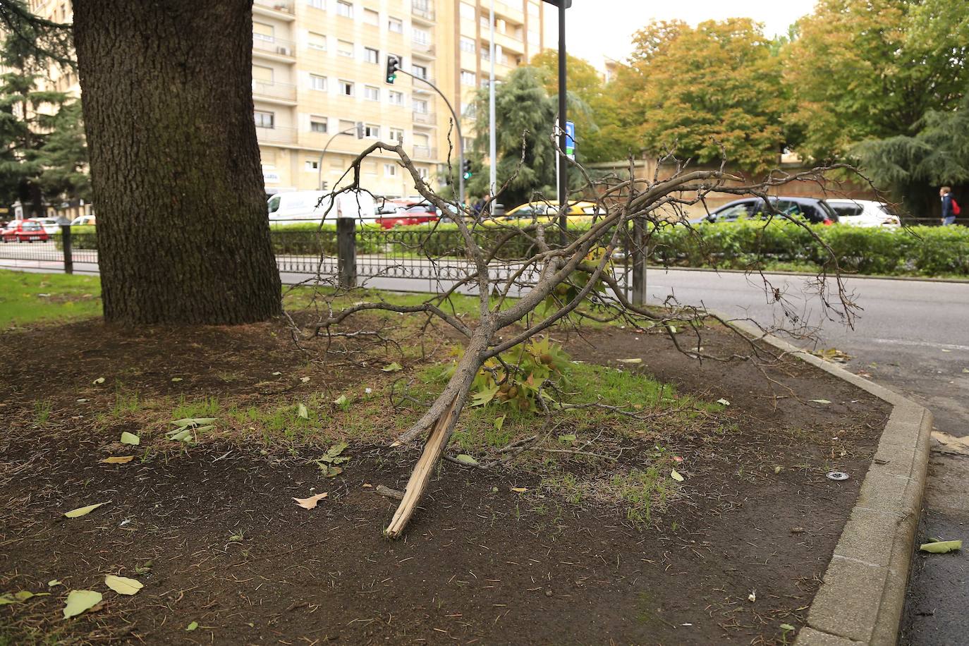 Los efectos de los temporales en Salamanca, en imágenes