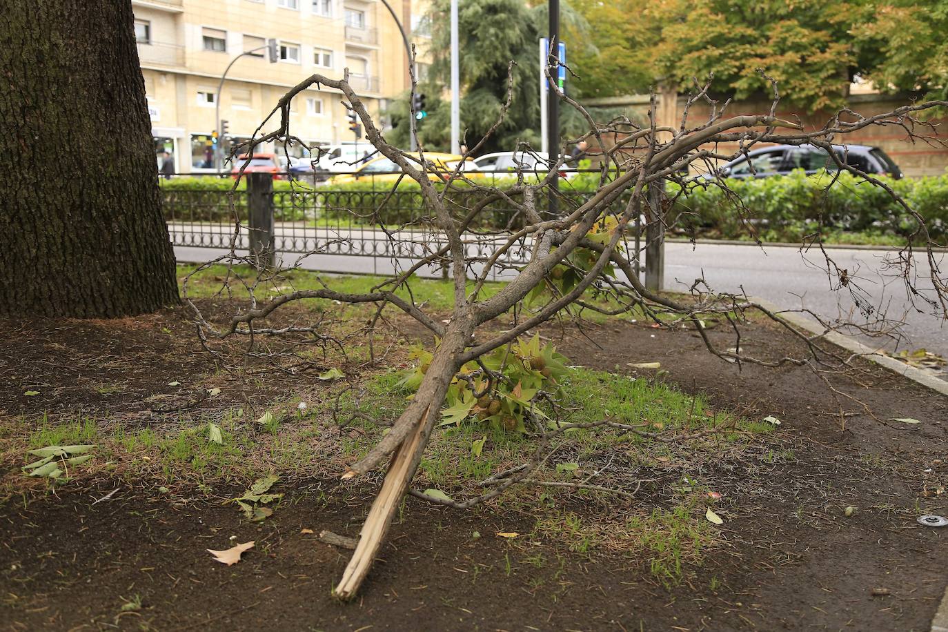 Los efectos de los temporales en Salamanca, en imágenes