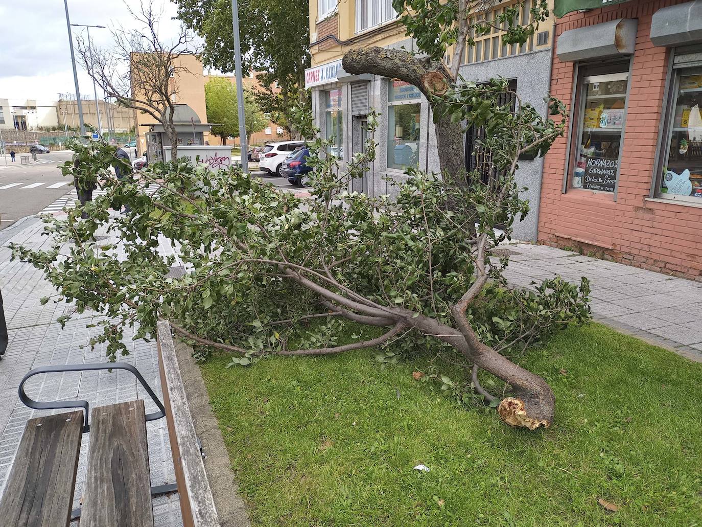 Los efectos de los temporales en Salamanca, en imágenes