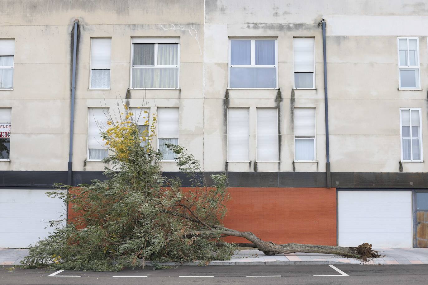 Los efectos de los temporales en Salamanca, en imágenes
