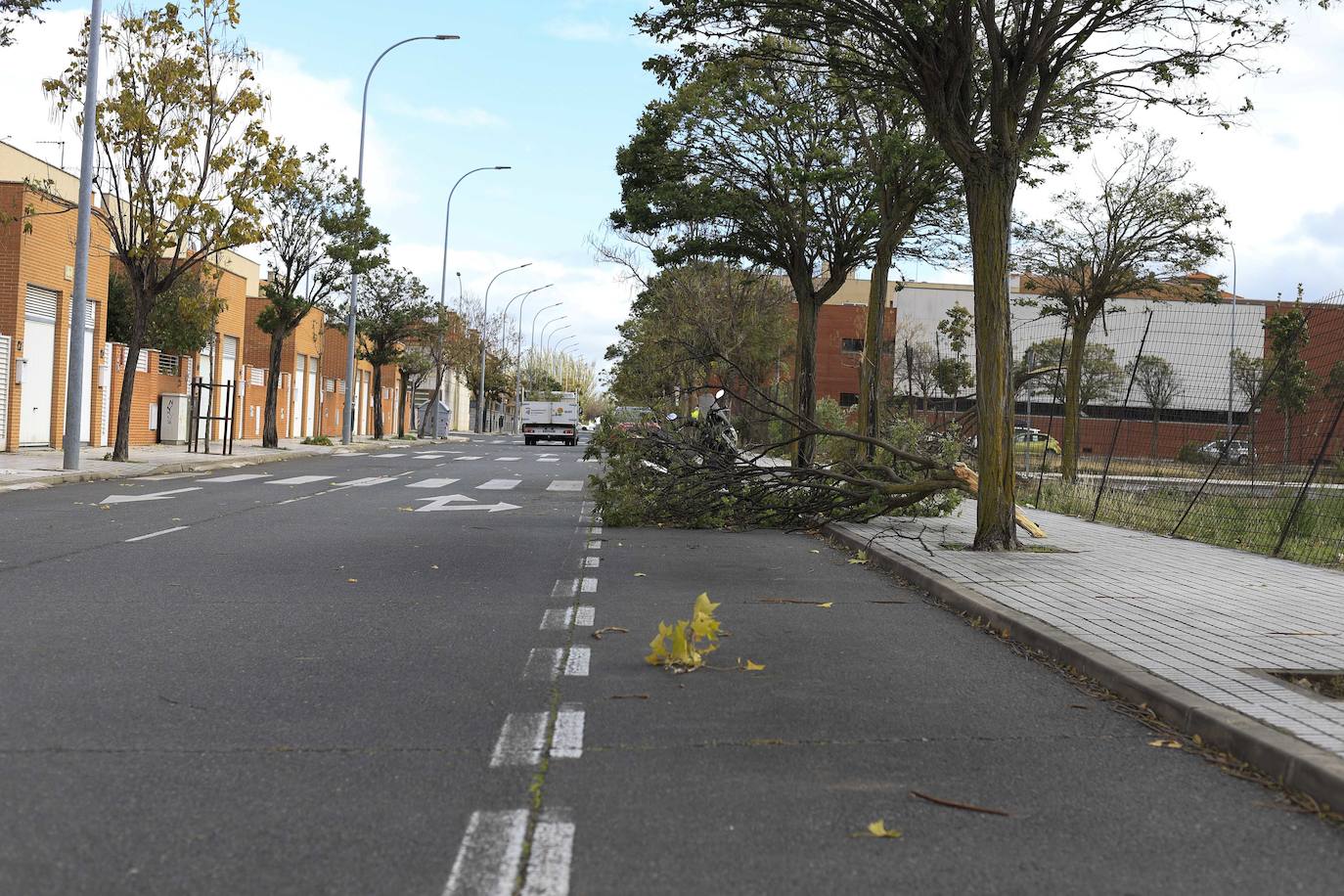 Los efectos de los temporales en Salamanca, en imágenes