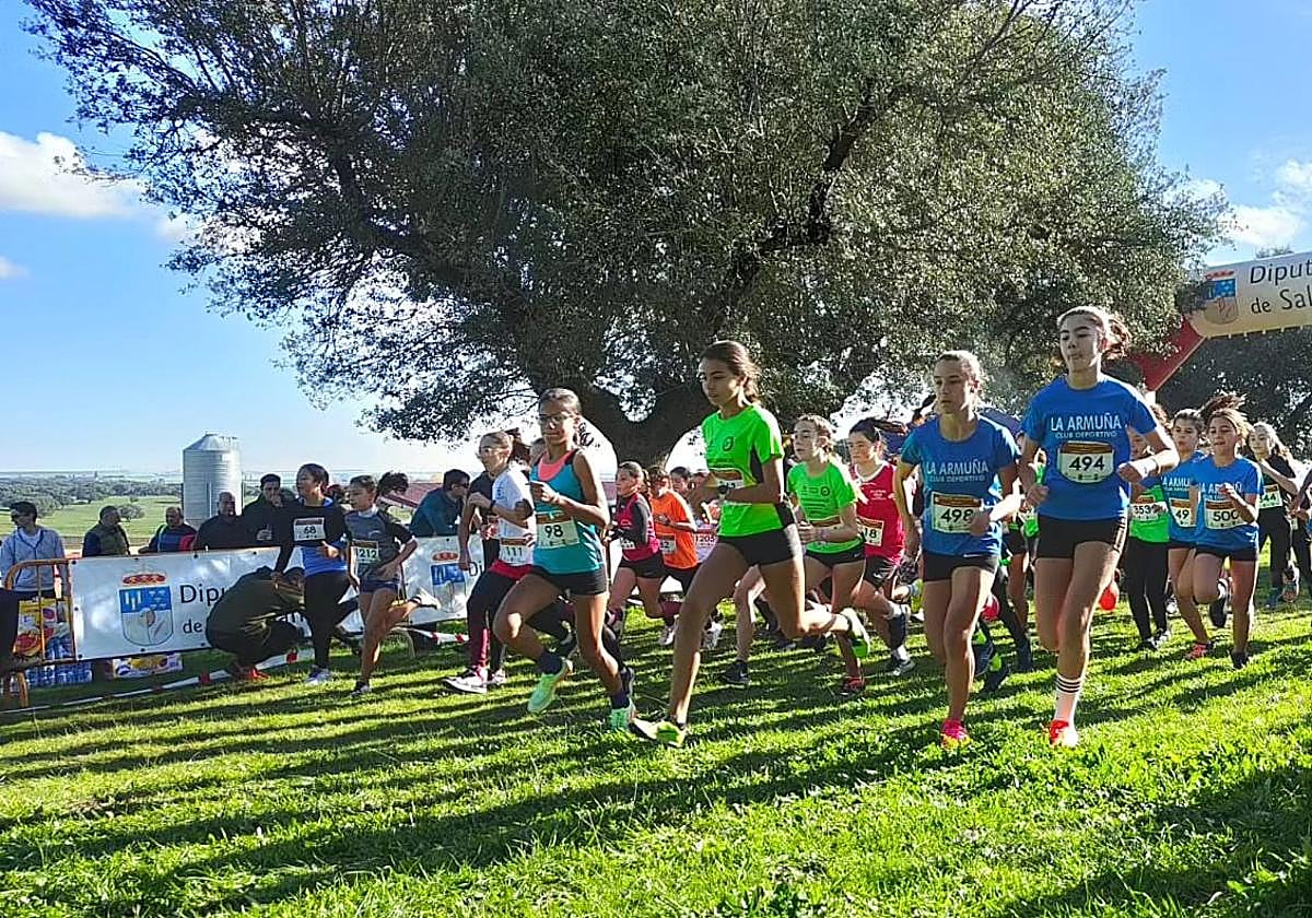 Una de las pruebas de campo a través escolar de esta temporada.