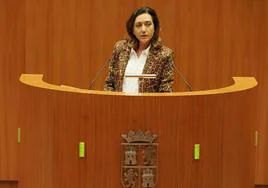La procuradora de Unión del Pueblo Leonés (UPL) Alicia Gallego.