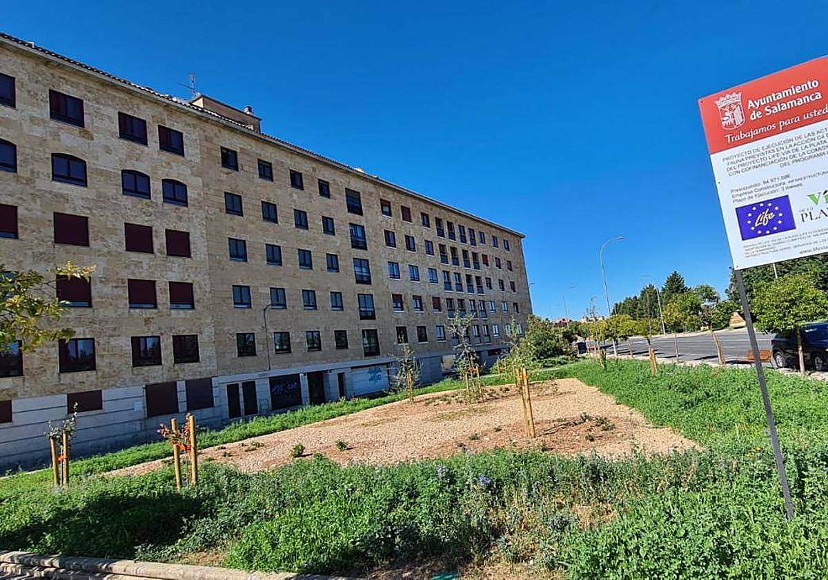 Imagen principal - Jardín de lluvia y actuaciones en Niños del Coro y San Polo.