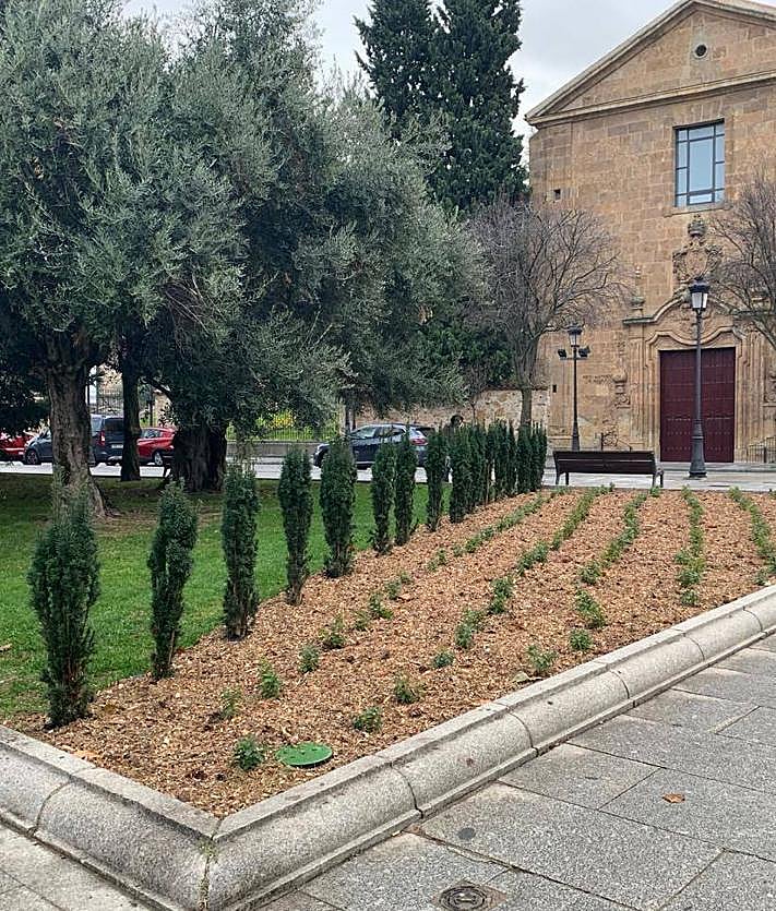 Imagen secundaria 2 - Jardín de lluvia y actuaciones en Niños del Coro y San Polo.