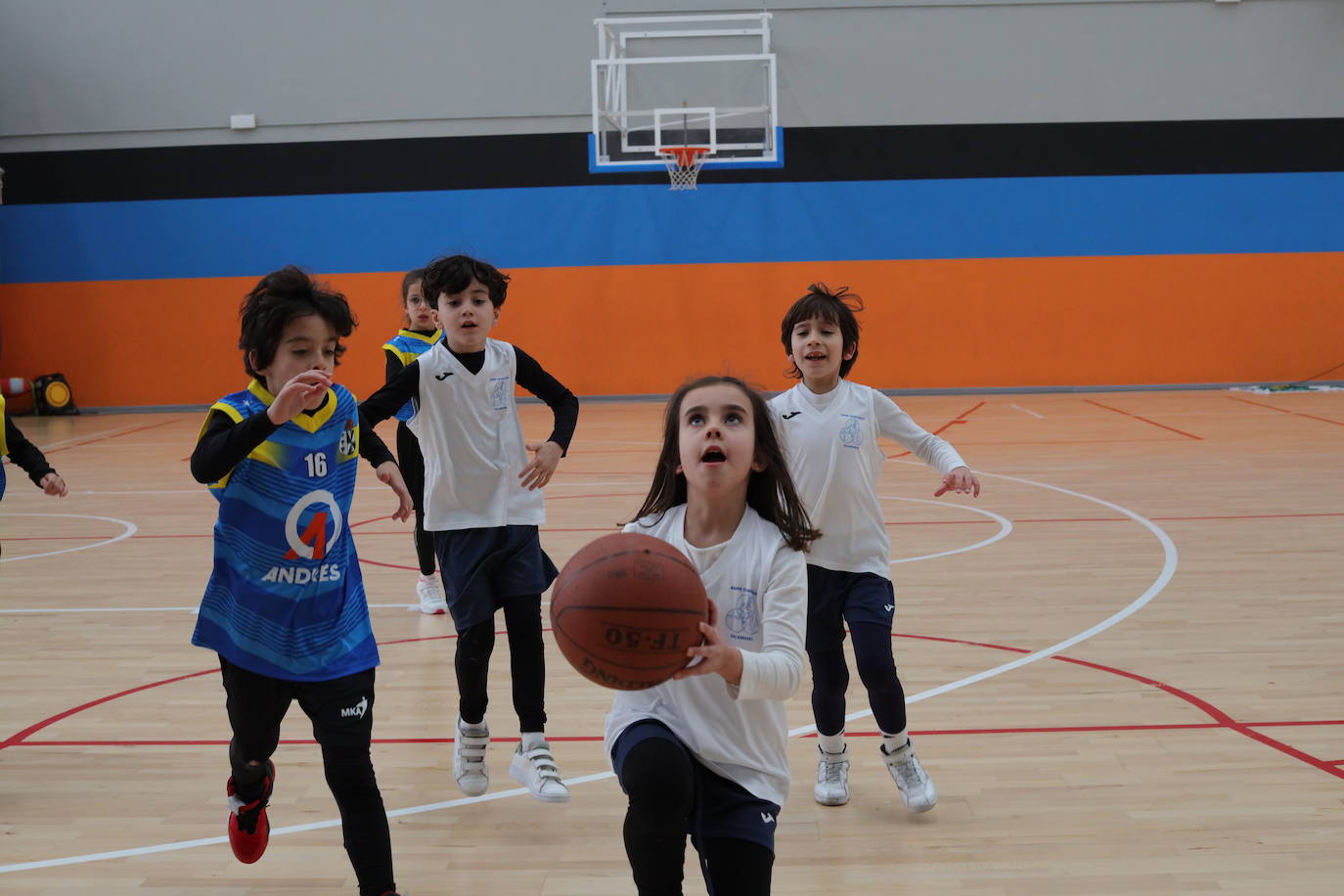 El anexo de Würzburg celebra la VIII edición del PequeBasket