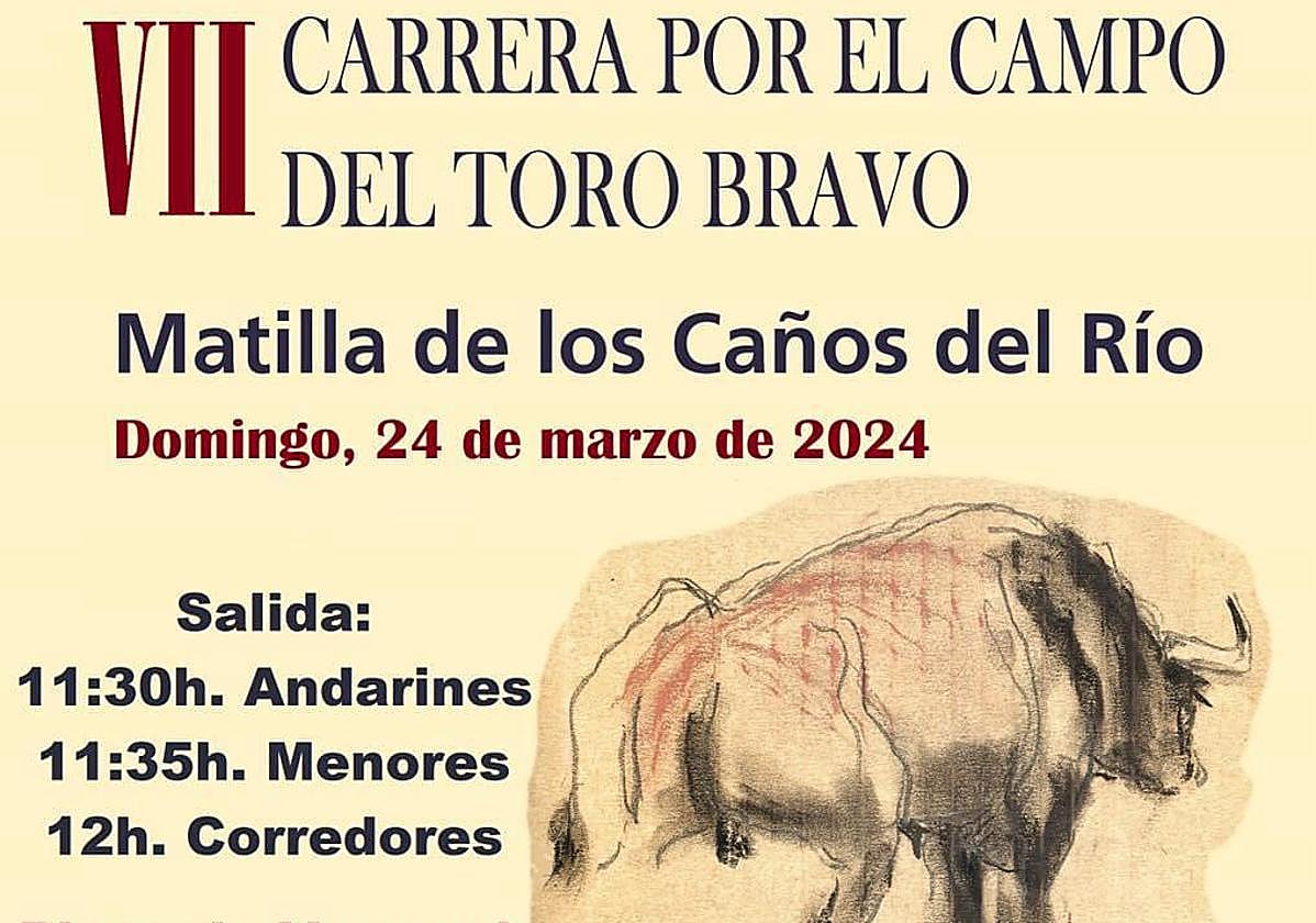 Cartel oficial de la carrera