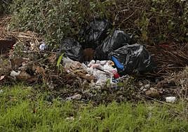Basura y otros residuos en el río Tormes.