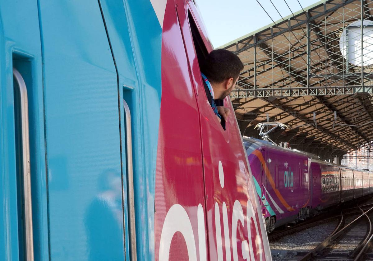 Trenes Ouigo y Avlo en la estación de Valladolid.