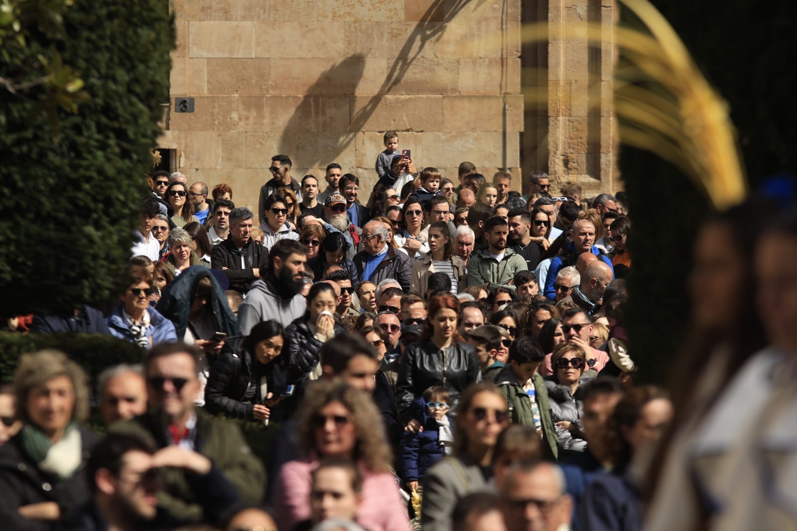 El Domingo de Ramos más inclusivo de Salamanca