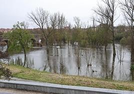 Crecida del Tormes por las lluvias y nevadas