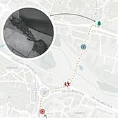 Detenidos tras huir un kilómetro por Salamanca con un árbol a rastras