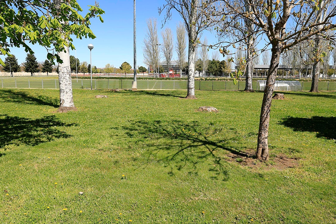 Así son las instalaciones de la ciudad deportiva de La Aldehuela