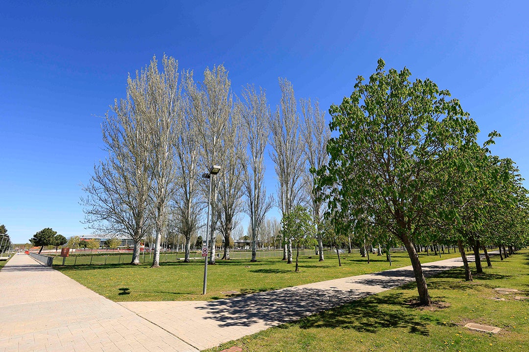 Así son las instalaciones de la ciudad deportiva de La Aldehuela