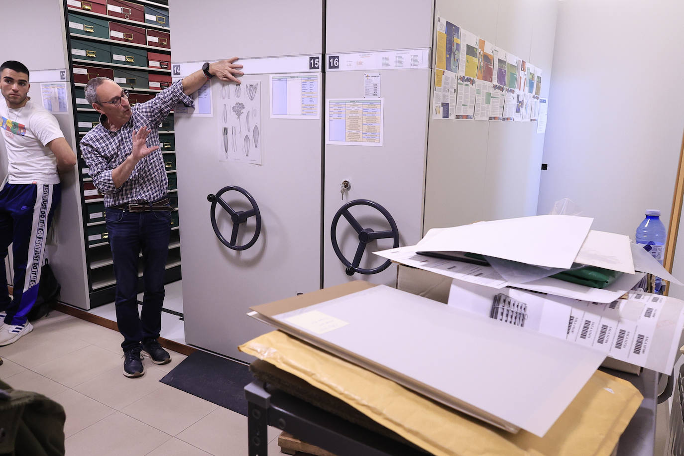 Plantas secas al servicio de la investigación