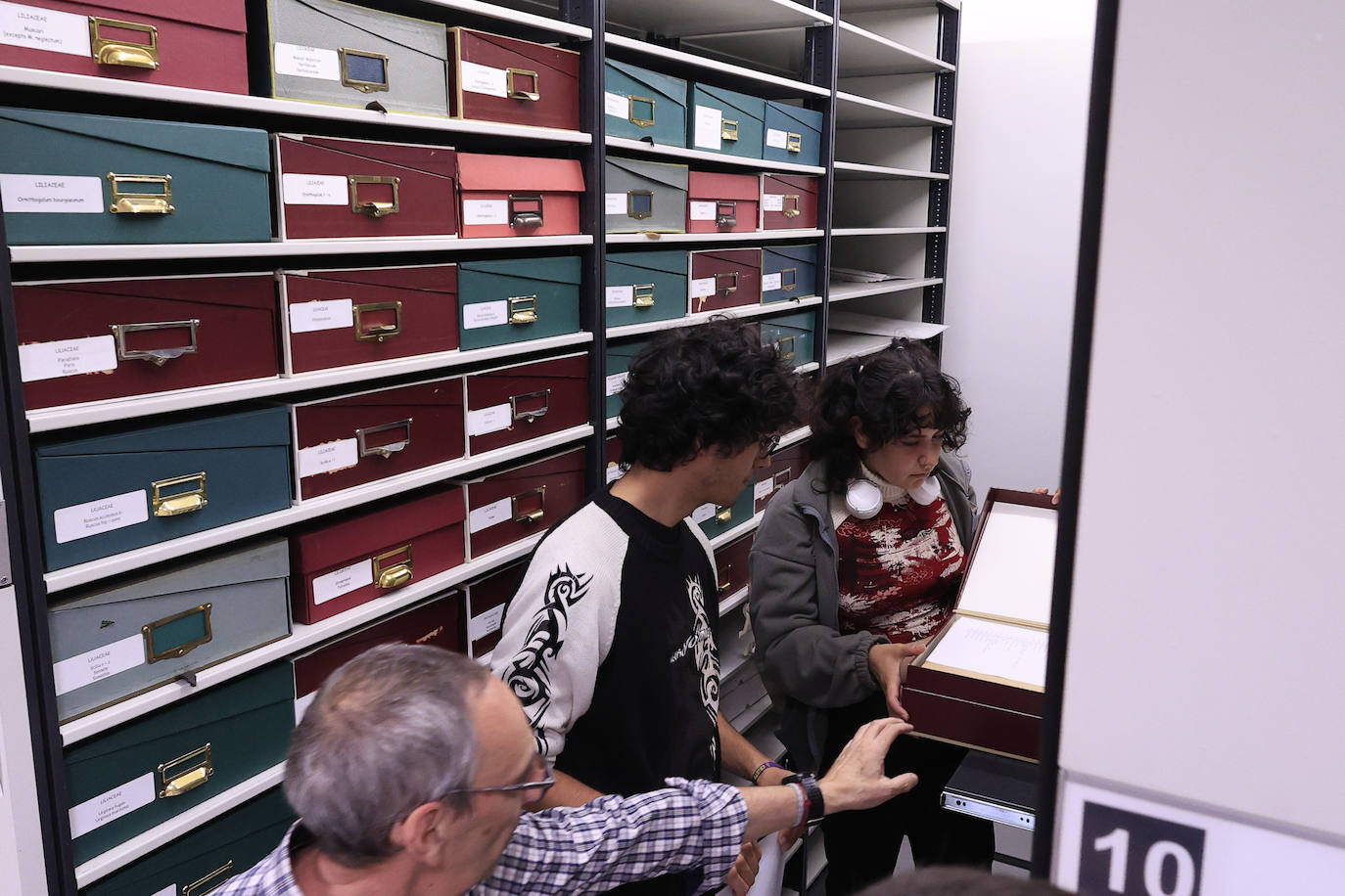 Plantas secas al servicio de la investigación