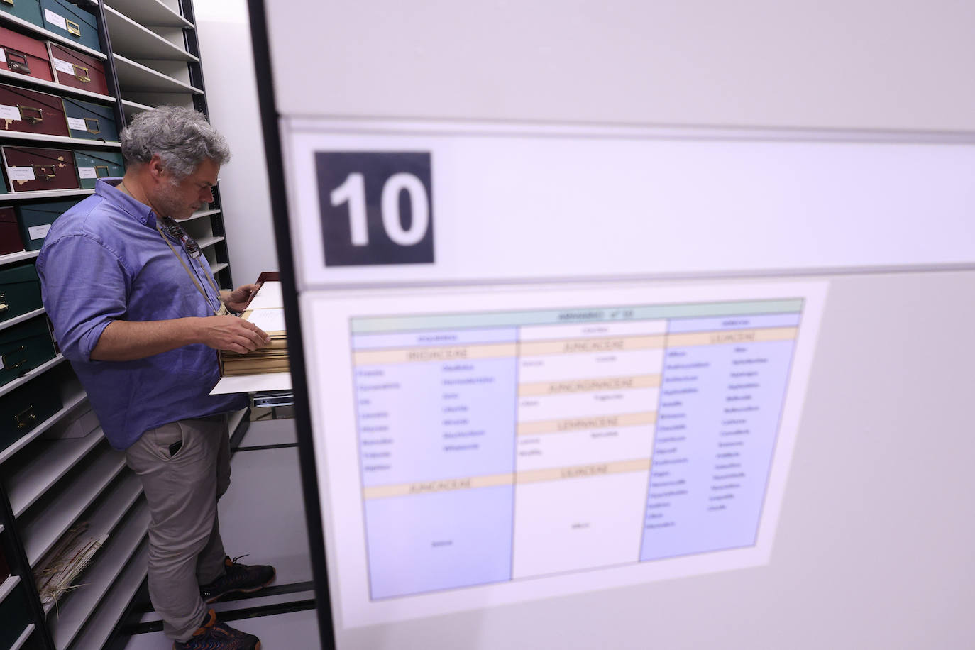 Plantas secas al servicio de la investigación