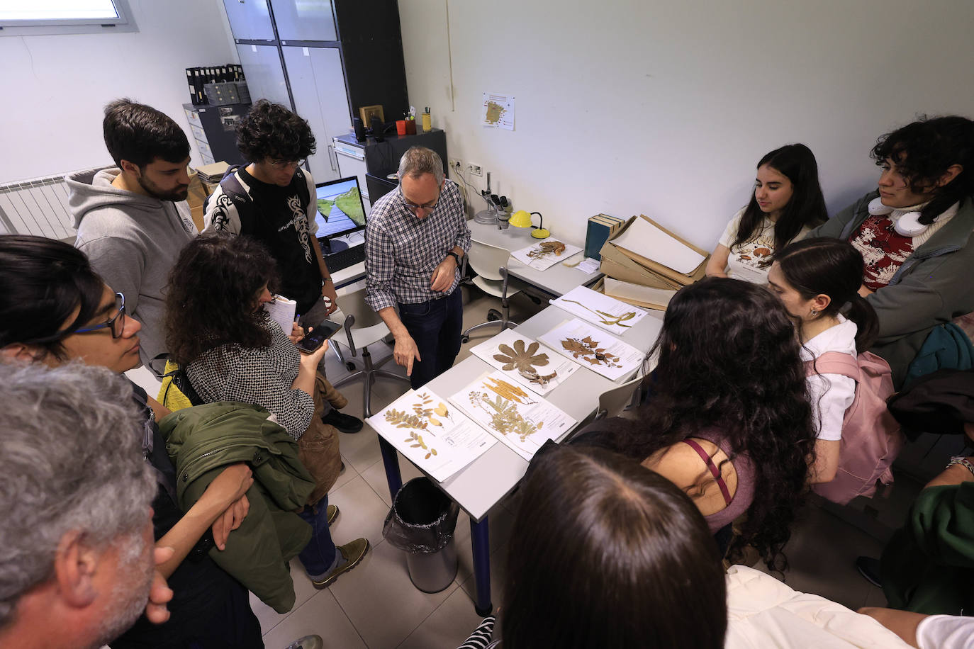 Plantas secas al servicio de la investigación