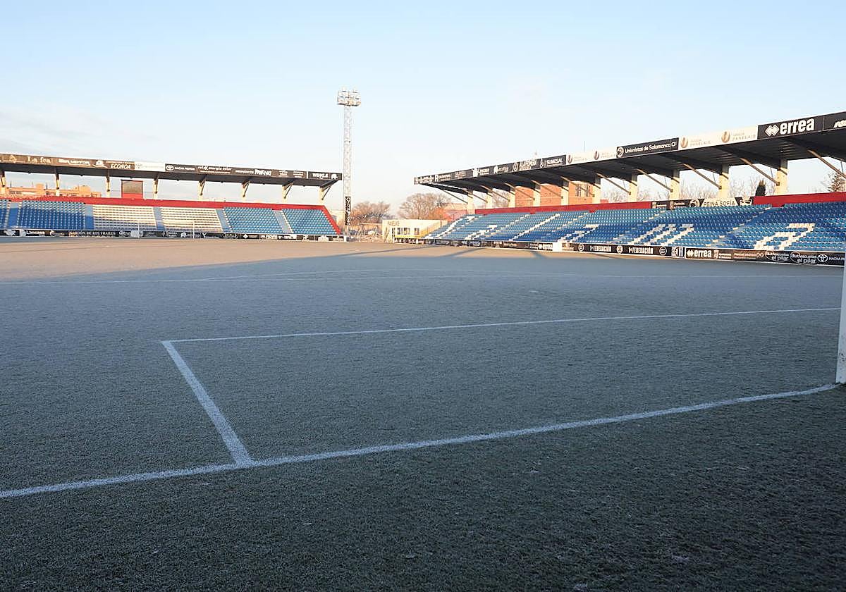 Foto de archivo del campo Reina Sofía